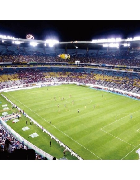 LED-Projektor 400W MAGNUM AIR - Bridgelux Chip 180Lm/W 25º