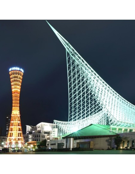 LED-Projektor 200W DOB MAGNUM OSRAM SMD3030-3D 180Lm/W 90º Chip