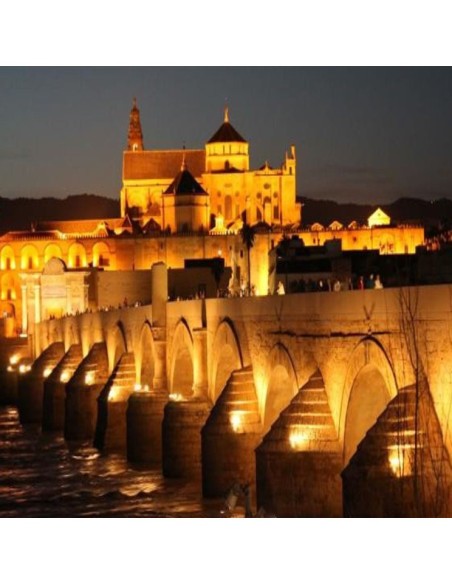 OSRAM LED Flutlichtstrahler 10W - ACTION PRO - DURIS E2835