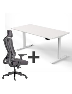 SET : Steh-Sitz Schreibtisch ERGO + ERGO Bürostuhl