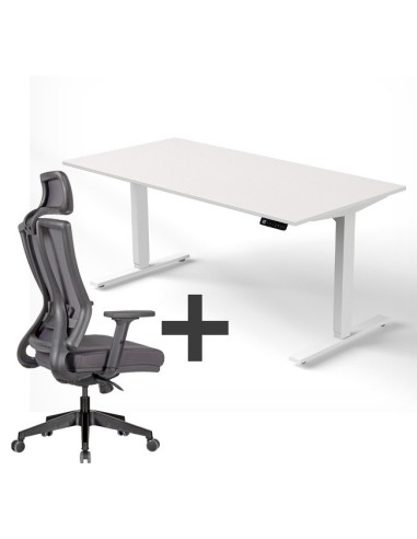 SET : Steh-Sitz Schreibtisch ERGO + ERGO Bürostuhl