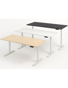 Move-4 Elektrisch höhenverstellbarer Schreibtisch rechteckig, T-Fuss-Gestell 160-200cm