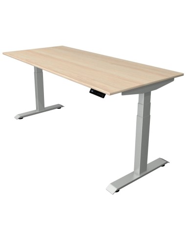 Move-4 Elektrisch höhenverstellbarer Schreibtisch rechteckig, T-Fuss-Gestell 160-200cm