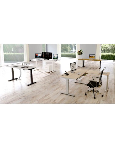 Move-4 XL Elektrisch höhenverstellbarer Schreibtisch L-Form, 200x100cm - Anbau 120x80cm