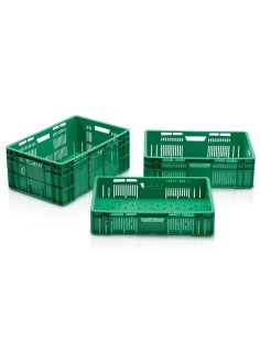 Obst- und Gemüsekiste Grün, Stapelbar