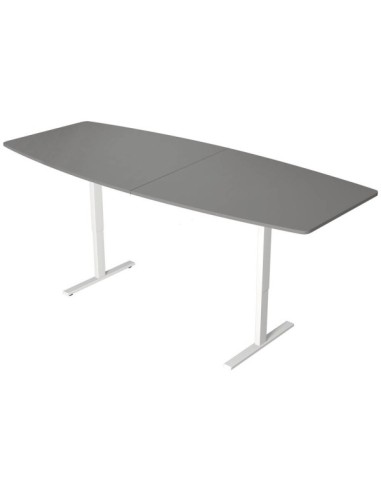 Konferenztisch Move 3 10306010, elektrisch höhenverstellbar 72-120cm (H), 250x100cm (BxT), 6 Personen, Tonnenform