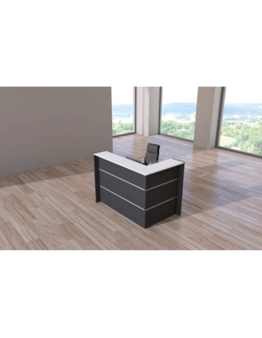 Empfangstheke BARI grau/weiss