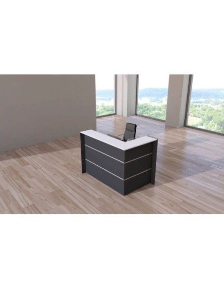 Empfangstheke BARI grau/weiss