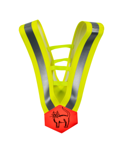 Diamant-Gurt gelb / Ausführung Katze