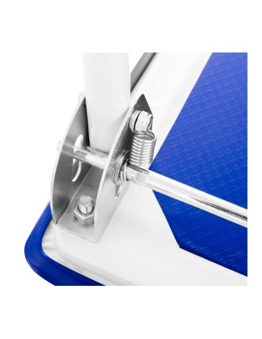 Plattformwagen CARRY-R mit Luftreifen für 300 kg