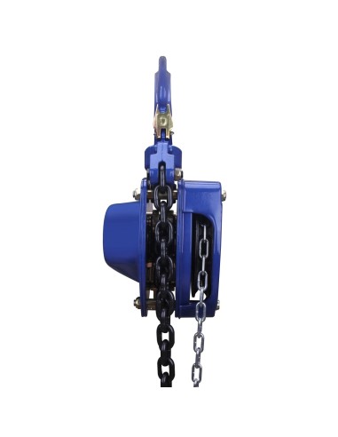 Kettenzug 5t CHAINPRO-L für 5m