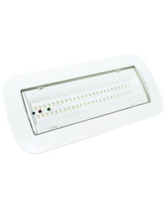 4W LED Notlicht Decke + Option + Kit Dauerlicht - IP65 6000K