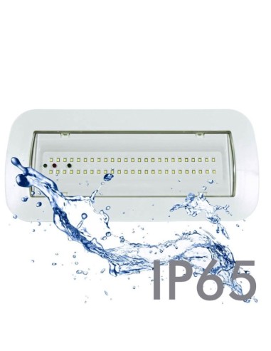 4W LED Notlicht Decke + Option + Kit Dauerlicht - IP65 6000K