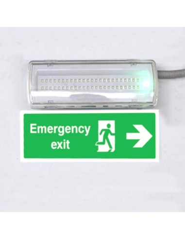 4W LED Notlicht Decke + Option + Kit Dauerlicht - IP65 6000K