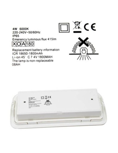 4W LED Notlicht Decke + Option + Kit Dauerlicht - IP65 6000K