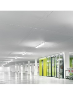 LED Anzeige IP65 für zwei Rohre 60 cm versiegelt 2