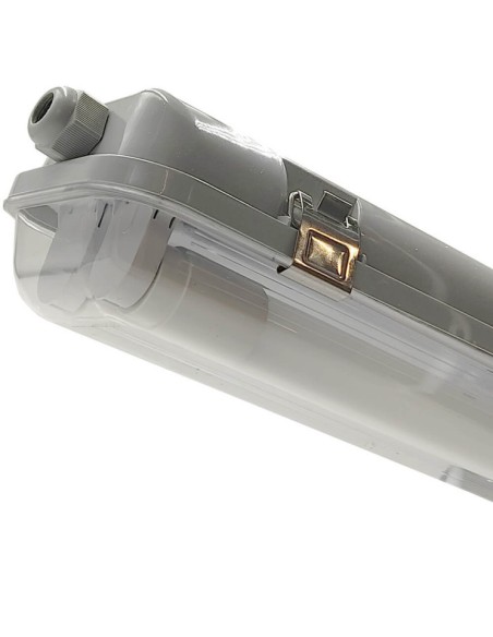 Wasserdichtes Anzeige für zwei IP65 LED Röhren 150cm