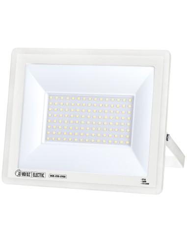 LED-Projektor-Strahler LEON-100 100W Weiß 6400K IP65