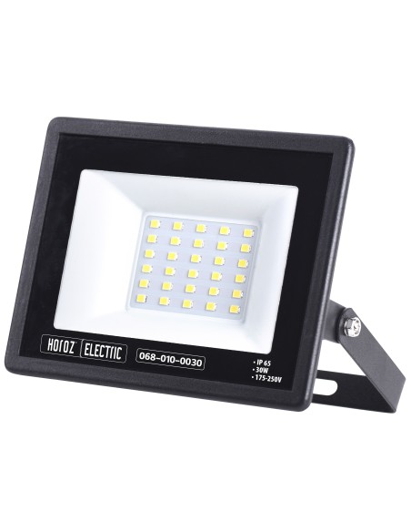 LED Flutlicht-Aussenstrahler LEON-30 30W Schwarz 6400K IP65