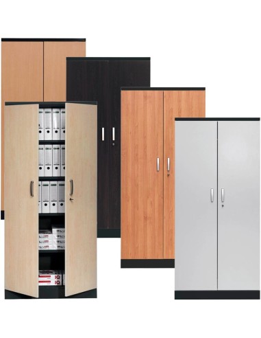 Wolfstahl Büro Stahlschrank - Aktenschrank Tiefschwarz abschliessbar 92x42x195cm, aufgebaut