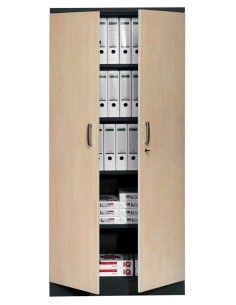 Wolfstahl Büro Stahlschrank - Aktenschrank Tiefschwarz abschliessbar 92x42x195cm, aufgebaut 2