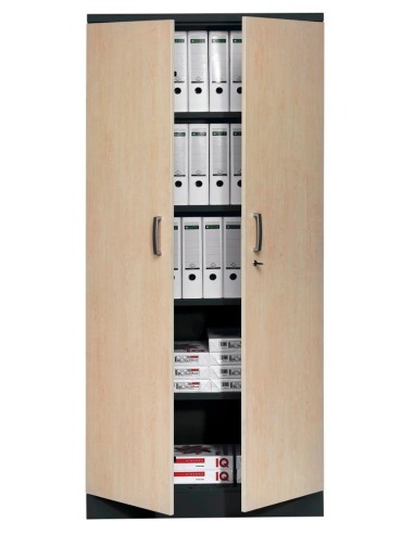 Wolfstahl Büro Stahlschrank - Aktenschrank Tiefschwarz abschliessbar 92x42x195cm, aufgebaut