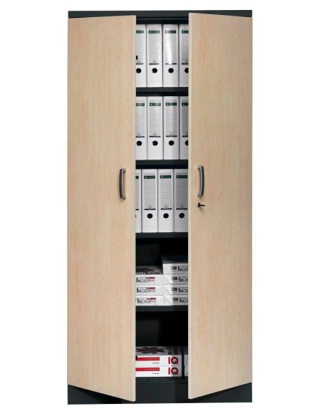 Wolfstahl Büro Stahlschrank - Aktenschrank Tiefschwarz abschliessbar 92x42x195cm, aufgebaut